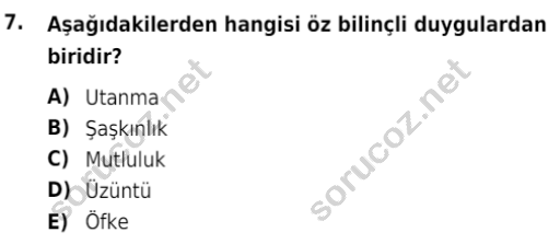 auzef cocukgelisimlisans 85 7