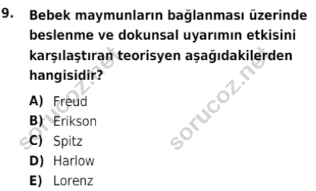 auzef cocukgelisimlisans 85 9