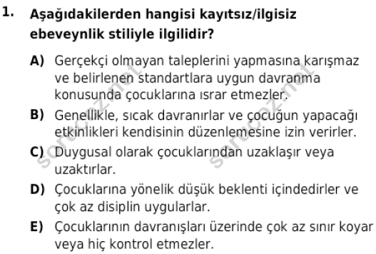 auzef cocukgelisimlisans 85 1