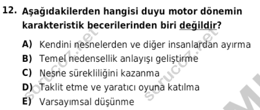 auzef cocukgelisimlisans 85 12