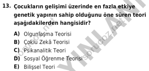 auzef cocukgelisimlisans 85 13