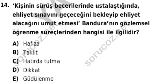 auzef cocukgelisimlisans 85 14