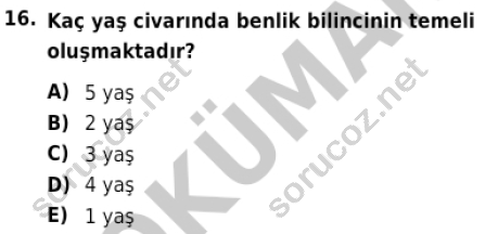 auzef cocukgelisimlisans 85 16