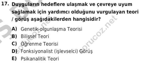 auzef cocukgelisimlisans 85 17