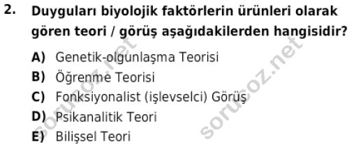 auzef cocukgelisimlisans 85 2