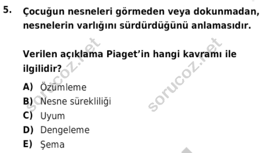 auzef cocukgelisimlisans 85 5