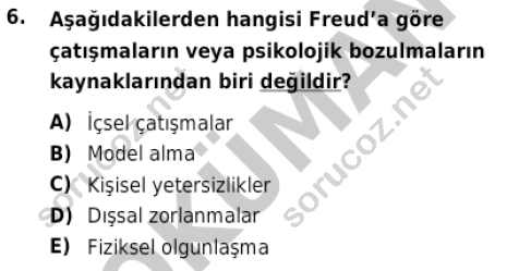 auzef cocukgelisimlisans 85 6