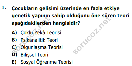 auzef cocukgelisimlisans 85 1