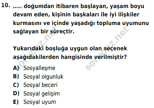 auzef cocukgelisimlisans 85 10