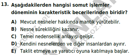 auzef cocukgelisimlisans 85 13