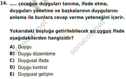 auzef cocukgelisimlisans 85 14