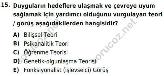 auzef cocukgelisimlisans 85 15