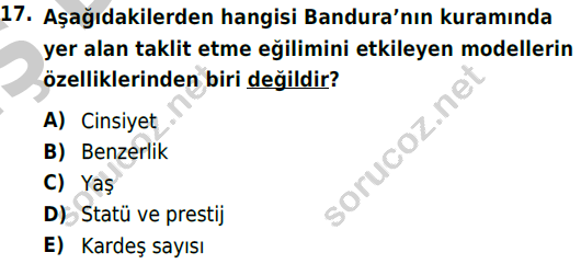 auzef cocukgelisimlisans 85 17