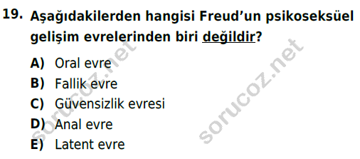 auzef cocukgelisimlisans 85 19