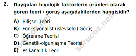 auzef cocukgelisimlisans 85 2