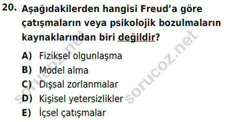 auzef cocukgelisimlisans 85 20