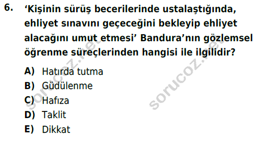 auzef cocukgelisimlisans 85 6