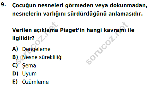 auzef cocukgelisimlisans 85 9