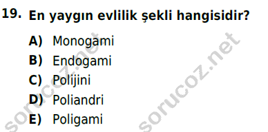 auzef cocukgelisimlisans 55 19