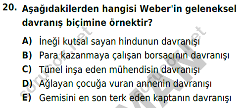 auzef cocukgelisimlisans 55 20