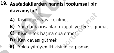 auzef cocukgelisimlisans 55 19