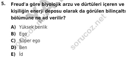 auzef cocukgelisimlisans 55 5