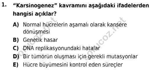 auzef isglisans 342 1