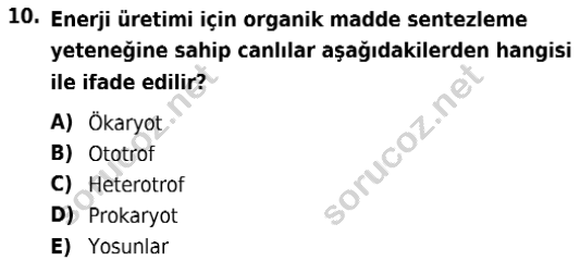 auzef isglisans 342 10