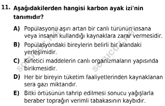 auzef isglisans 342 11