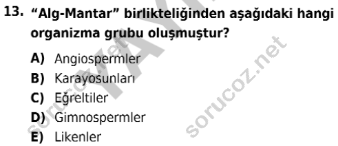 auzef isglisans 342 13