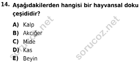 auzef isglisans 342 14