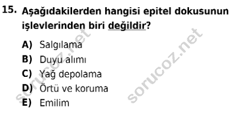 auzef isglisans 342 15