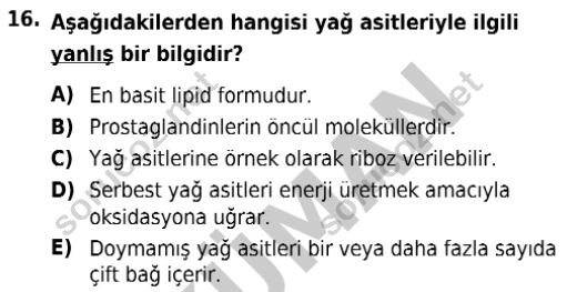 auzef isglisans 342 16