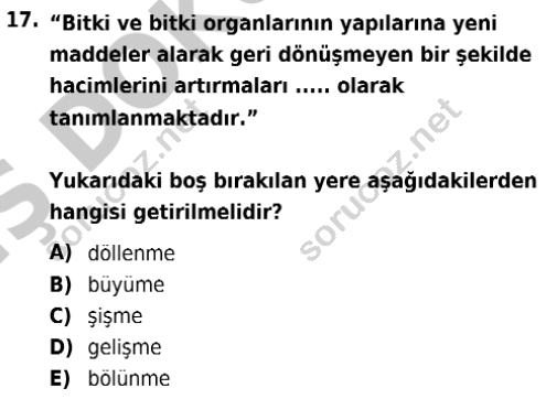 auzef isglisans 342 17