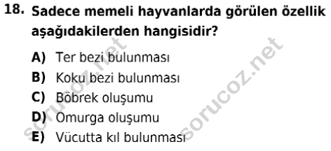 auzef isglisans 342 18