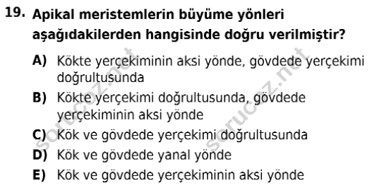 auzef isglisans 342 19