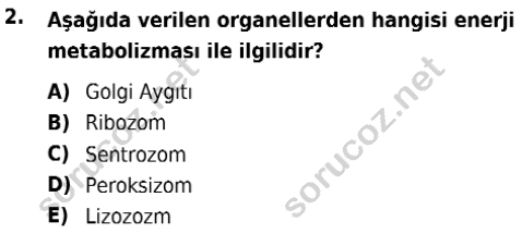 auzef isglisans 342 2