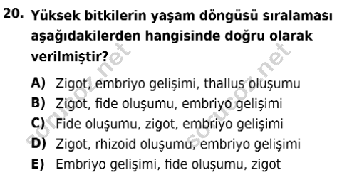 auzef isglisans 342 20