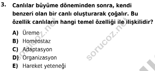 auzef isglisans 342 3