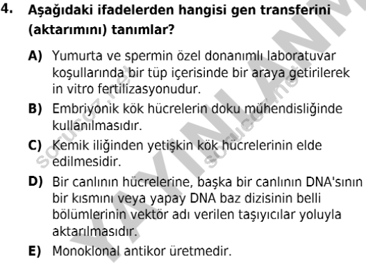 auzef isglisans 342 4