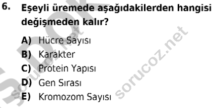 auzef isglisans 342 6