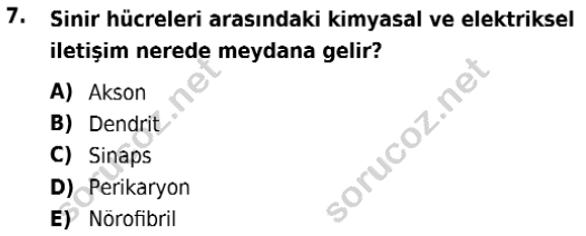 auzef isglisans 342 7