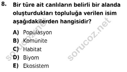 auzef isglisans 342 8