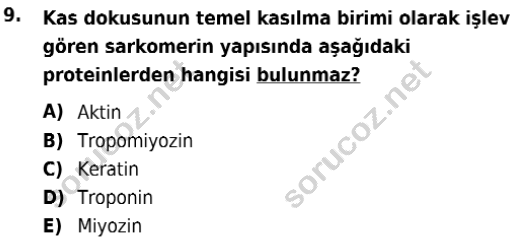 auzef isglisans 342 9