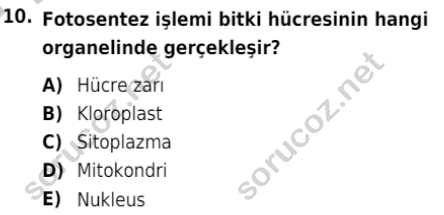 auzef isglisans 342 10