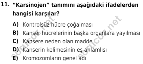 auzef isglisans 342 11