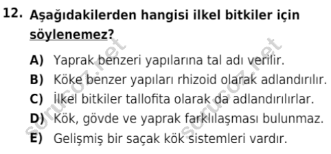 auzef isglisans 342 12