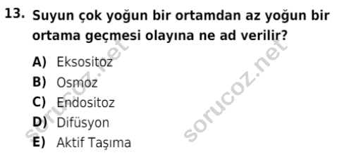 auzef isglisans 342 13