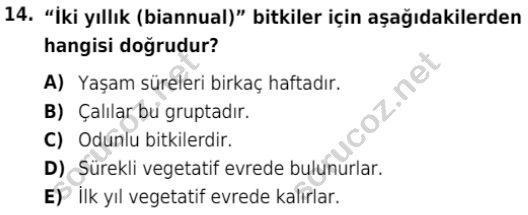 auzef isglisans 342 14