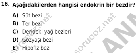 auzef isglisans 342 16